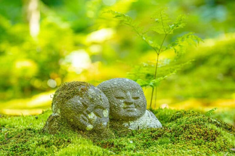 Deep Kyoto: Local Cuisine, Tranquil Temples on Premium Bus - Good To Know