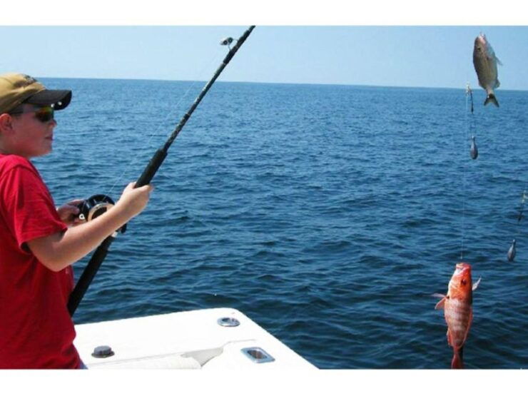 Deep Sea Fishing Adventure With a Seafood Extravaganza Lunch - Activity Details