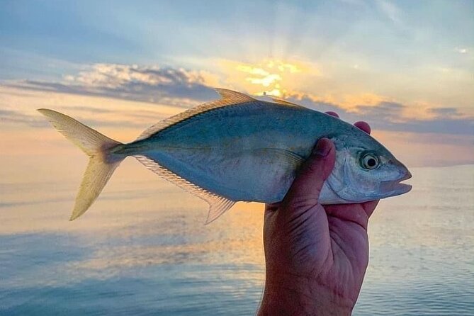 Deep Sea Fishing Dubai - 4 Hours Fishing Trip on Boat - The Sum Up