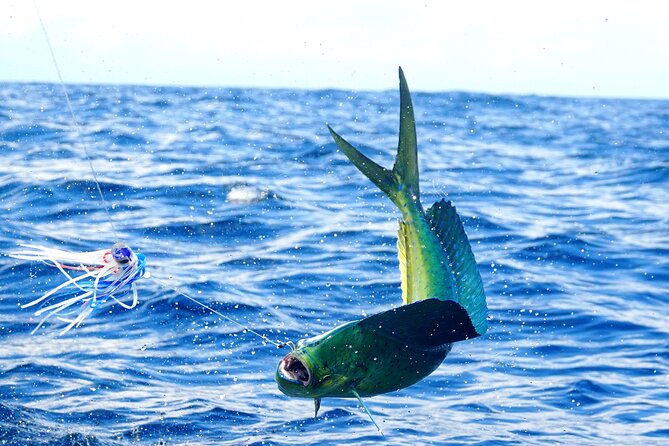 Deep Sea Fishing Experience—Noosa Charter Fishing  - Noosa & Sunshine Coast - Convenient Pickup Locations and Contact Information