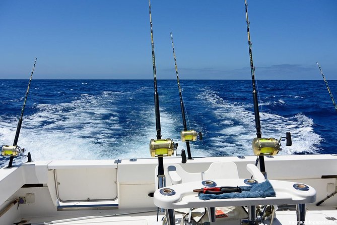 Deep Sea Fishing Tour - Tour Experience
