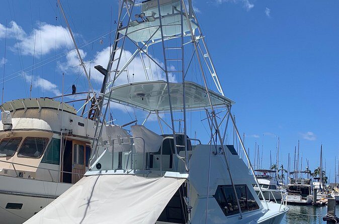 Deep Sea Sport Fishing - The Sum Up