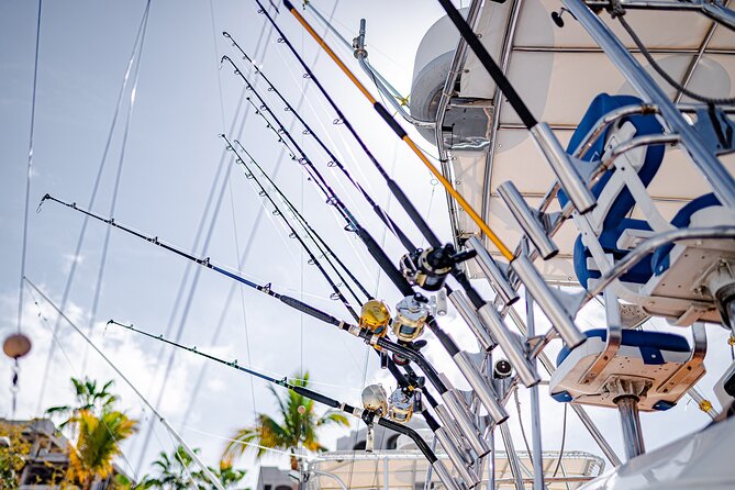 Deep Sea, Tuna and Marlin Fishing, Sports Fishing Cabo San Lucas - Traveler Experience and Photos