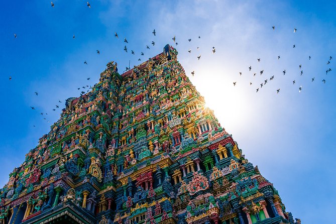Deep South of India - Kerala and Tamil Nadul - Highlights of Kerala and Tamil Nadu