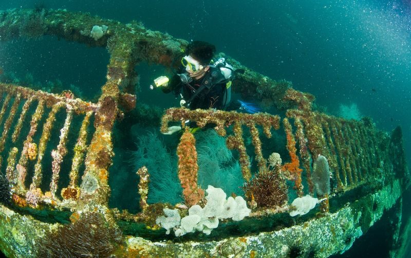 Deepen your dive: PADI AOWD Course in Malapascua with 5</em> Dive Center – Malapascua makes a strong classroom’ /></p>
<p><p>This course takes place on Malapascua Island, part of Daanbantayan in Cebu province. The setting is a big part of the appeal: Malapascua is known for clear water and thresher sharks, giving you a chance to develop skills in a destination with a strong connection to the sea.</p>
</p>
<p><p>The island is also a practical choice if you want to combine training with other marine activities. The same area offers options such as an early-morning thresher-shark outing and a trip to Gato Island, though those are separate activities and are not part of this course.</p>
</p>
<p><p>Keep expectations grounded. The course description highlights thresher sharks, but it does not promise that you will see one during your training sessions. Treat the sharks as a possible bonus, not a guaranteed feature, and judge the course first by the instruction and skills you’ll gain.</p>
</p>
<div style="margin: 20px 0; padding: 15px 0;"><p>You can also read our reviews of more tours and experiences in Daanbantayan.</p><ul style="margin: 10px 0; padding: 0; list-style: none;"><li style="margin: 0; padding: 0; border-bottom: none; display: flex; align-items: flex-start; gap: 12px; line-height: 1.4;"><a href="https://veronikasadventure.com/early-morning-thresher-shark-dive-in-malapascua-with-padi-5-center/" aria-hidden="true" tabindex="-1"><img decoding="async" style="width: 80px; height: 60px; object-fit: cover; border-radius: 4px; flex-shrink: 0;" src="https://veronikasadventure.com/wp-content/uploads/2026/10/early-morning-thresher-shark-dive-in-malapascua-with-padi-5-center-150x150.jpg" alt="" loading="lazy"></a><div><a href="https://veronikasadventure.com/early-morning-thresher-shark-dive-in-malapascua-with-padi-5-center/">Early Morning Thresher Shark Dive in Malapascua with PADI 5* Center</a><br><span style="font-size: 0.82em; color: #555; margin-top: 2px;"><span style="color: #f5a623;">★</span> 2.5 · 2 reviews</span></div></li></ul></div><h2 id="section-2">Five sessions, with room to choose</h2>
<p><img src=