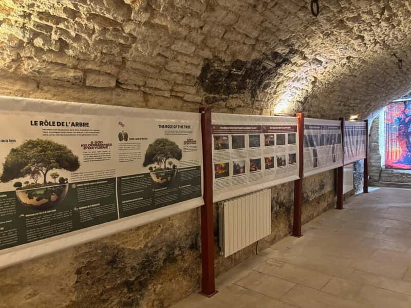 Dégustation de vins au Caveau Délicave - Good To Know