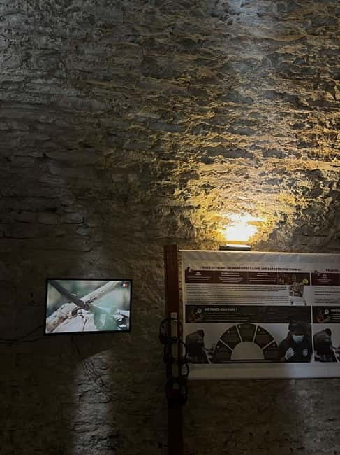 Dégustation de vins au Caveau Délicave - A Closer Look at the Experience