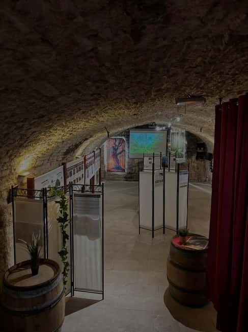 Dégustation de vins au Caveau Délicave - The Wines and Their Significance