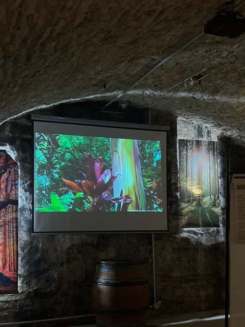 Dégustation de vins au Caveau Délicave - FAQ