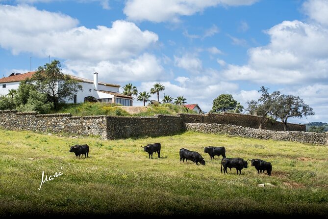 Dehesa La Cepera. - Location and Accessibility