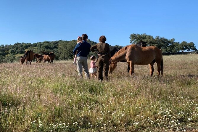 Dehesa La Cepera. - Meeting Point and Pickup Details