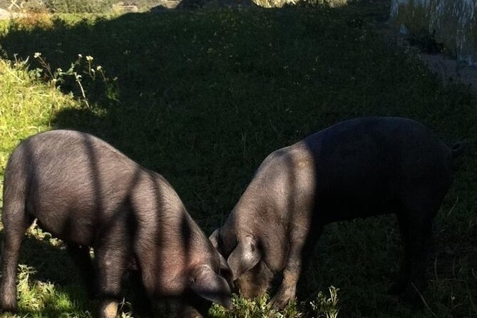 Dehesa La Cepera. - Cancellation Policy and Refunds