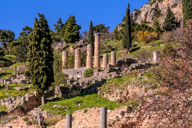 Delfi Full Day Private Sightseeing Tour - Inclusions