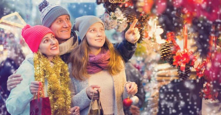 Delft: 2-Hour Christmas Walking Tour - Good To Know