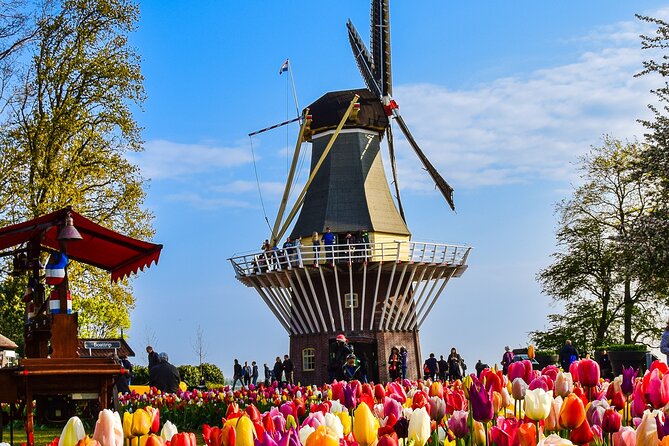 Delft and Keukenhof Gardens Tour From Brussels - Tour Highlights