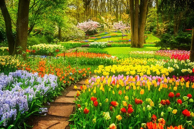 Delft and Keukenhof Gardens Tour From Brussels - Viator Help Center and Terms & Conditions