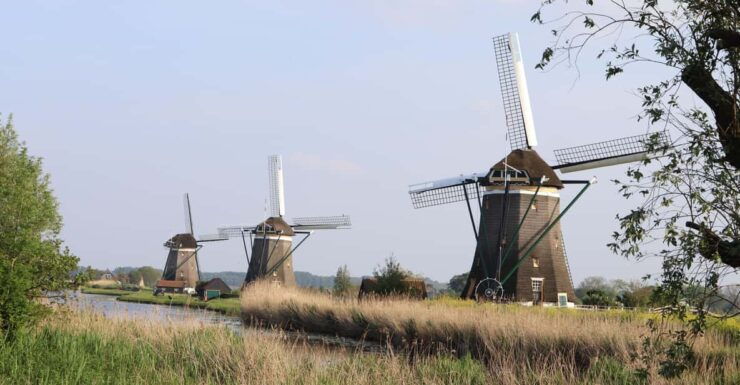 Delft and Volendam: Cheese, Clogs & Windmills (Small Group) - Itinerary Highlights