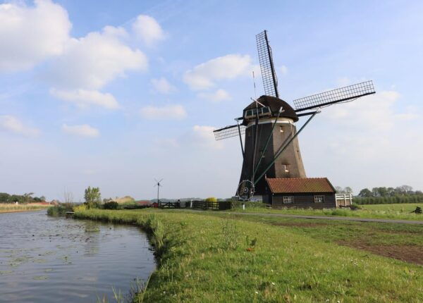Delft and Volendam: Cheese, Clogs & Windmills (Small Group) - Delft Town Tour