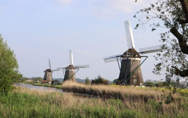 Delft and Volendam: Cheese, Clogs & Windmills (Small Group) - Frequently Asked Questions