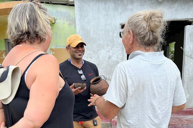 Delft Island Guided Tour Discover the Beauty and Culture - Practical Details You Should Know