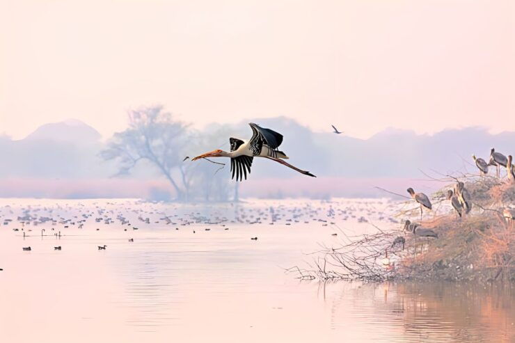 Delhi: 2 Days Taj Mahal Agra, Fatehpur & Bird Sanctuary Tour - Languages Available