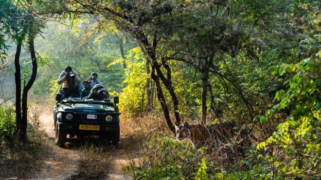 Delhi: 3-Day Trip to Ranthambore National Park With Safari - Additional Information