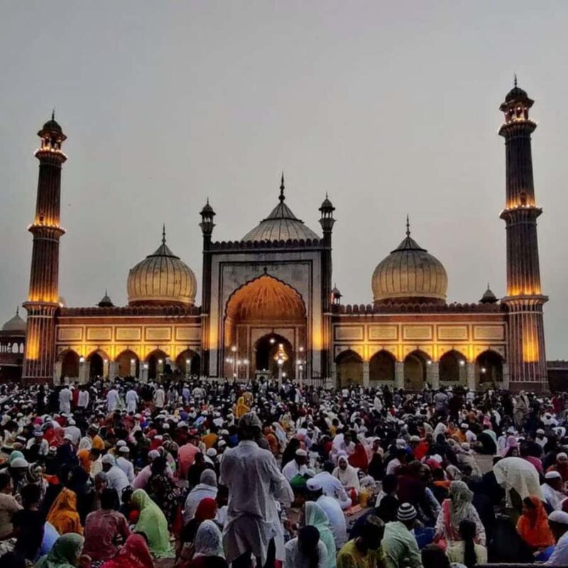Delhi: 4 Hours Half Day Tour (Old Delhi or New Delhi) - Who Should Consider This Tour?