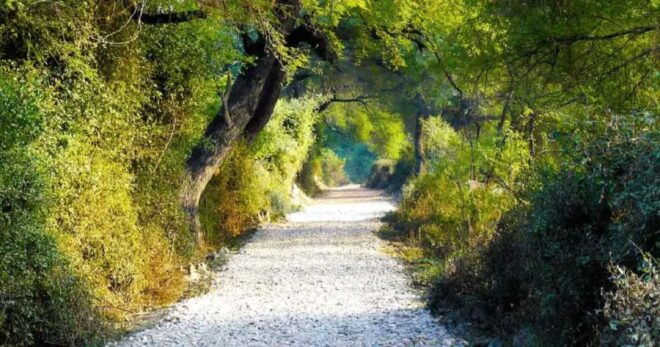 Delhi Agra Fatehpur Sikri Bharatpur Bird Sanctuary - Activities