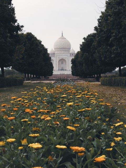 Delhi Agra Gwalior Orchha Khajurao Tour by Car - Itinerary