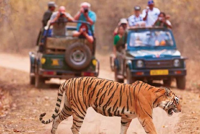 Delhi Agra Jaipur Golden Triangle Tour With Ranthambore Tigers From Delhi - Good To Know