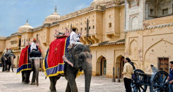Delhi Agra Jaipur Jodhpur Pushkar Tour 7 Days - Day 5 - Pushkar Sightseeing and Return to Delhi