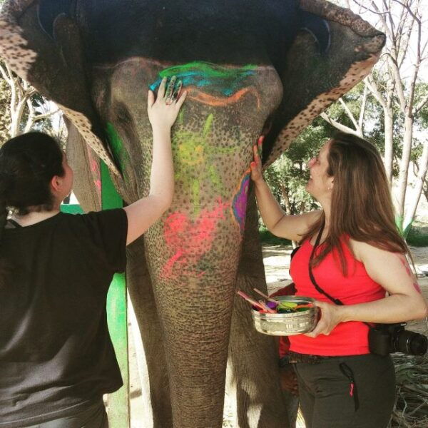 Delhi Agra Jaipur Pushkar Ajmer Jhodhpur Udaipur Tour - The Sum Up