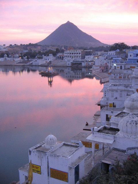 Delhi Agra Jaipur Udaipur Pushkar Tour 7 Days - Itinerary Highlights and Activities