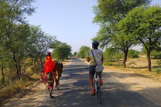 Delhi- Agra Long Distance Bicycle Trip - Bicycle Equipment and Gear