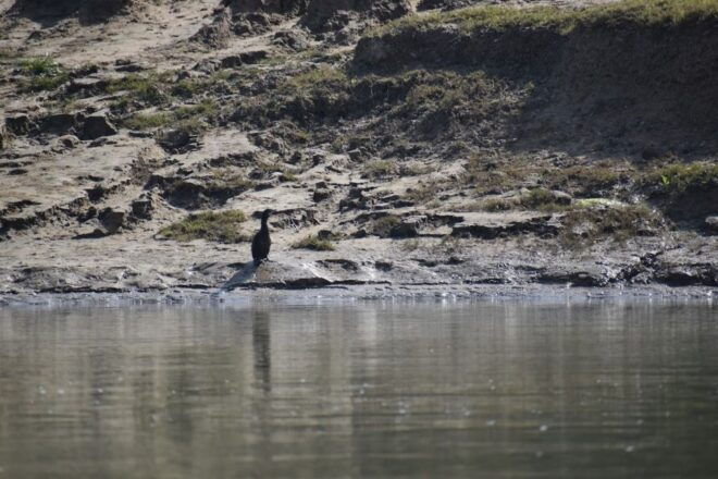 Delhi, Agra With Chambal Safari Tour - Exclusions