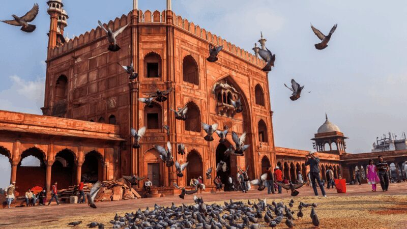 Delhi City Tour: Old, New, or Both  Half & Full Day Options - Good To Know