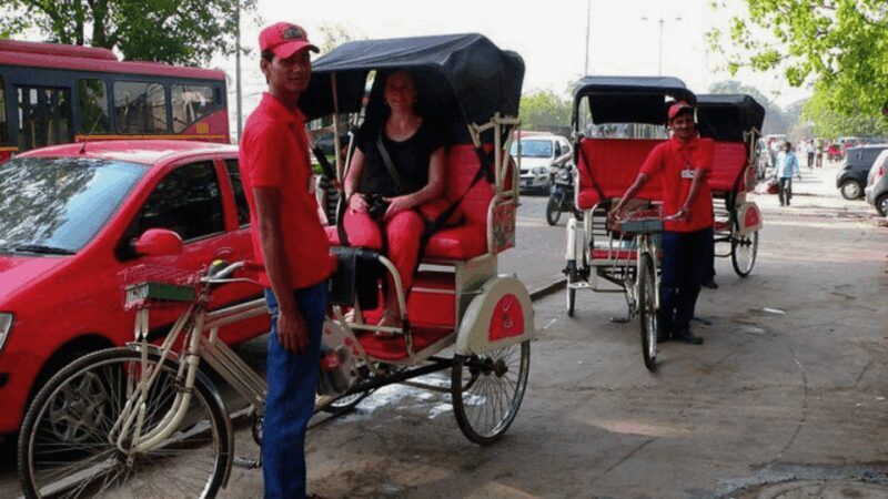 Delhi City Tour: Old, New, or Both  Half & Full Day Options - Personalization and Customer Experience