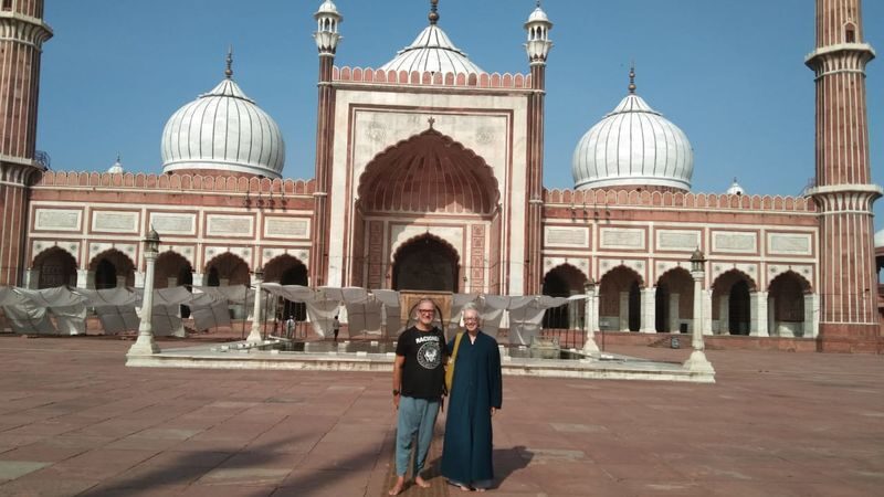 Delhi City Tour with Chinese/Japanese/Korean/English Speaking Guide - India Gate and the grand avenue