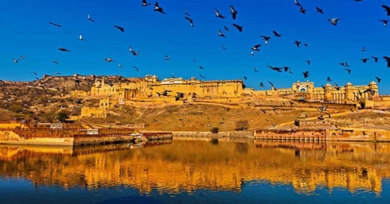 Delhi: Day Tour Jaipur Amber Fort With City Palace Transfer - Who Is This Tour Best For?