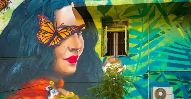 Delhi: Explore Delhis Street Art & Visit to an Art Centre - Full Description