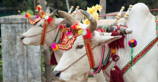 Delhi: Full-Day Private Guided Tour With Transfers - Customer Review