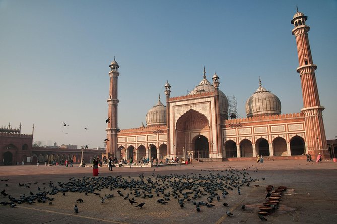 Delhi Full Day Sightseeing Tour - Customer Reviews