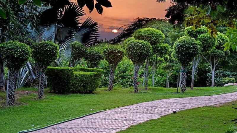 Delhi: Garden of Five Senses Guided Tour with Pickup - Good To Know