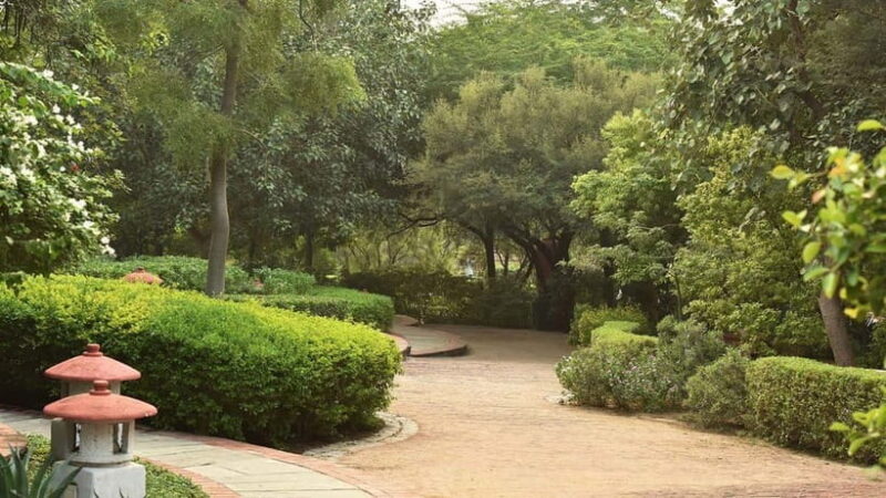 Delhi: Garden of Five Senses Guided Tour with Pickup - What to Expect from Your Visit