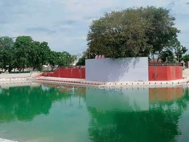 Delhi: Guided Shopping Tour Experience Local Expert Guide - The Real Value of This Guided Shopping Tour  