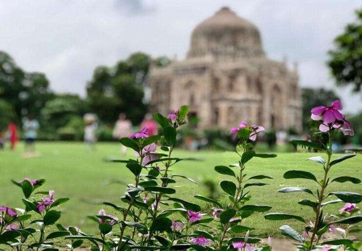 Delhi: Half-Day Private Guided City Sightseeing Tour - Tour Details