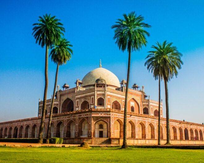 Delhi: Half-Day Tour by Car - Inclusions
