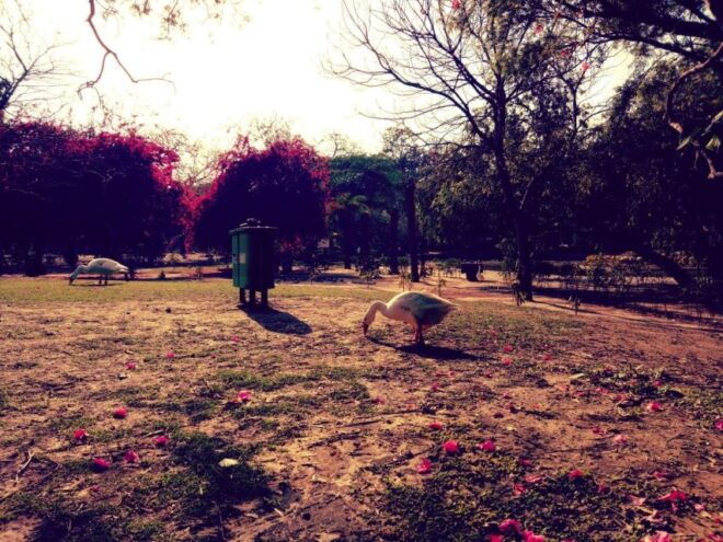 Delhi: Heritage Photography Tour - Booking Information