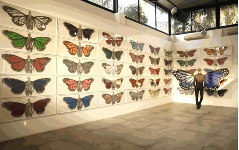 Delhi: Hidden Art Gallery Tour - Discovering Delhi’s Contemporary Art: An In-Depth Review