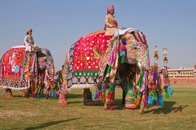 Delhi: Jaipur Private Day Trip with Guide & Lunch - Why Choose the Delhi to Jaipur Private Day Trip?